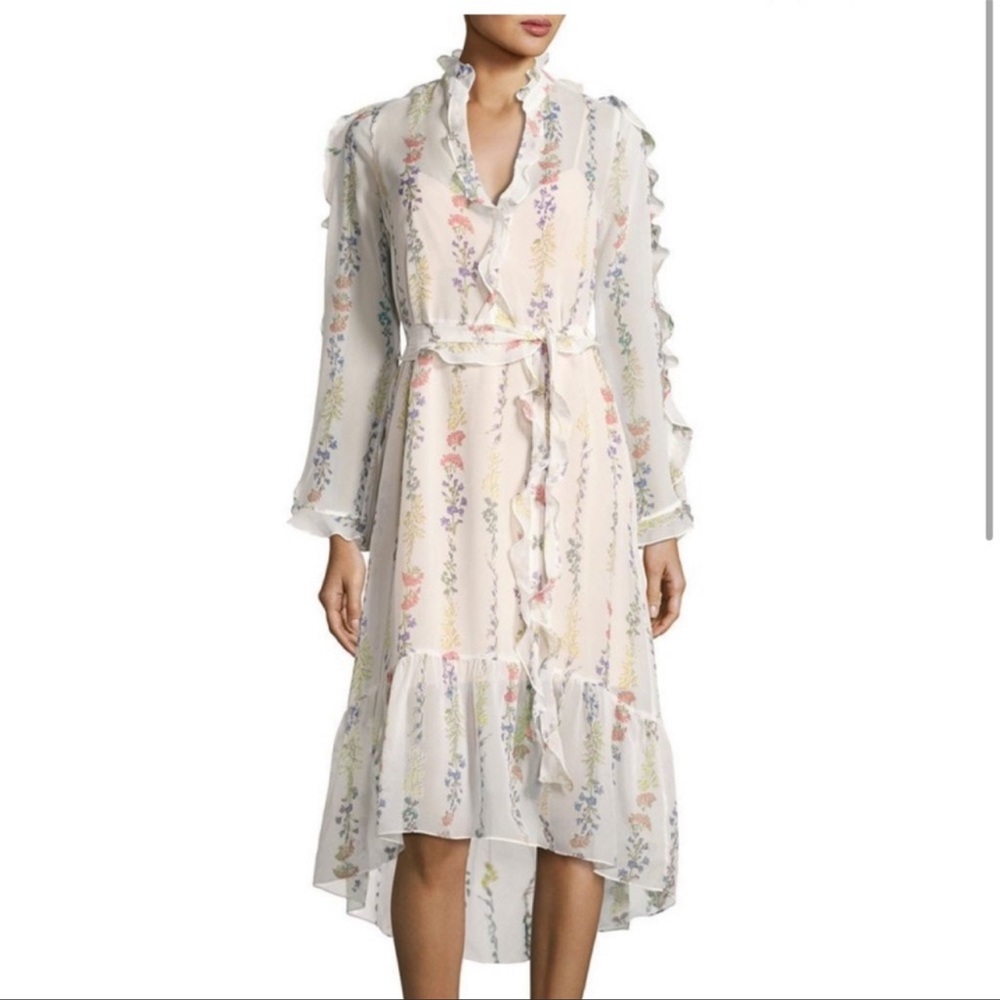 BCBG MaxAzria Bunty sheer floral dress with slip